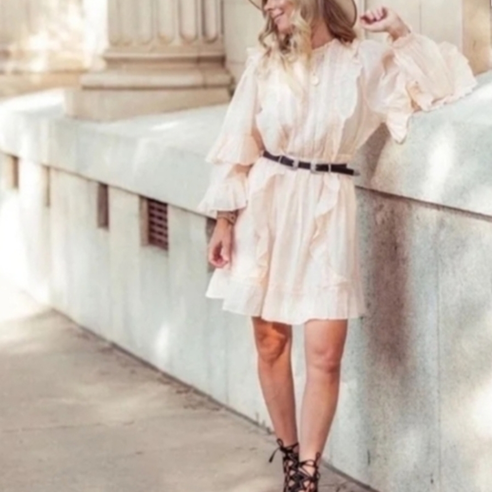 Ruffled Long-Sleeve Mini Dress in Blush